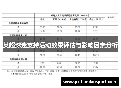 英超球迷支持活动效果评估与影响因素分析