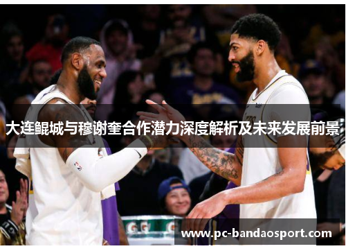 大连鲲城与穆谢奎合作潜力深度解析及未来发展前景