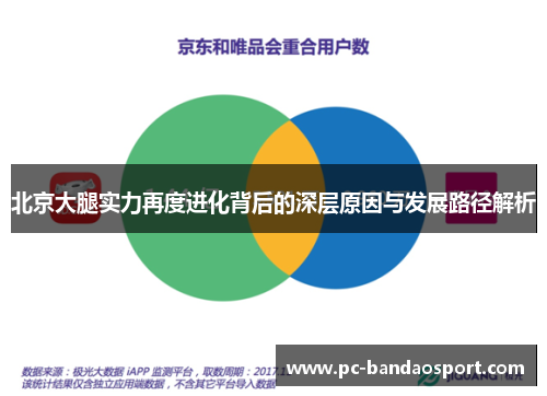 北京大腿实力再度进化背后的深层原因与发展路径解析