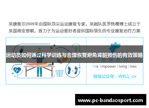 运动员如何通过科学训练与合理恢复避免肾脏损伤的有效策略