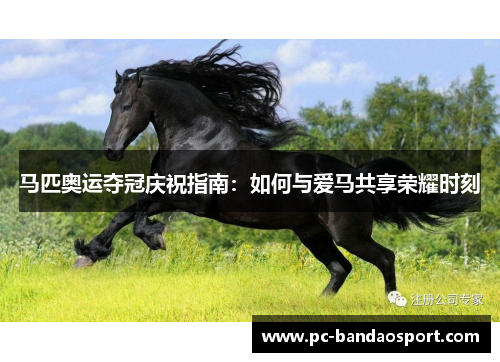 马匹奥运夺冠庆祝指南：如何与爱马共享荣耀时刻