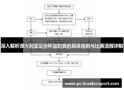 深入解析澳大利亚足协杯加时赛的具体规则与比赛流程详解