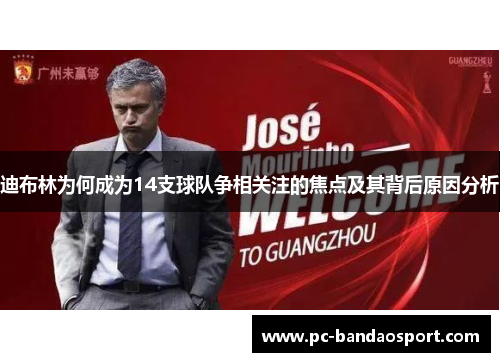 迪布林为何成为14支球队争相关注的焦点及其背后原因分析