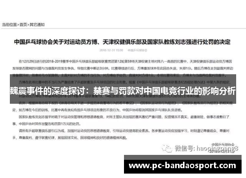 魏震事件的深度探讨：禁赛与罚款对中国电竞行业的影响分析