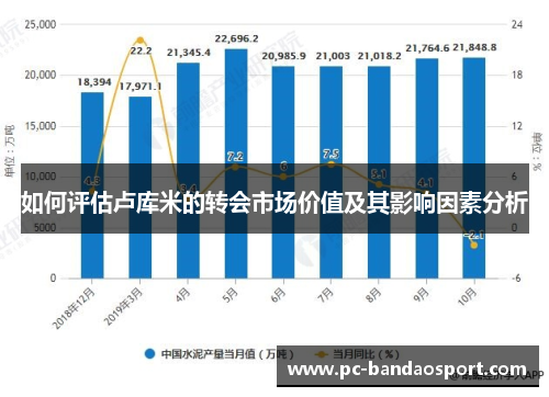 如何评估卢库米的转会市场价值及其影响因素分析