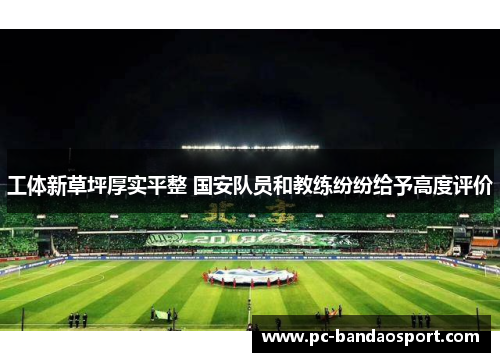 工体新草坪厚实平整 国安队员和教练纷纷给予高度评价